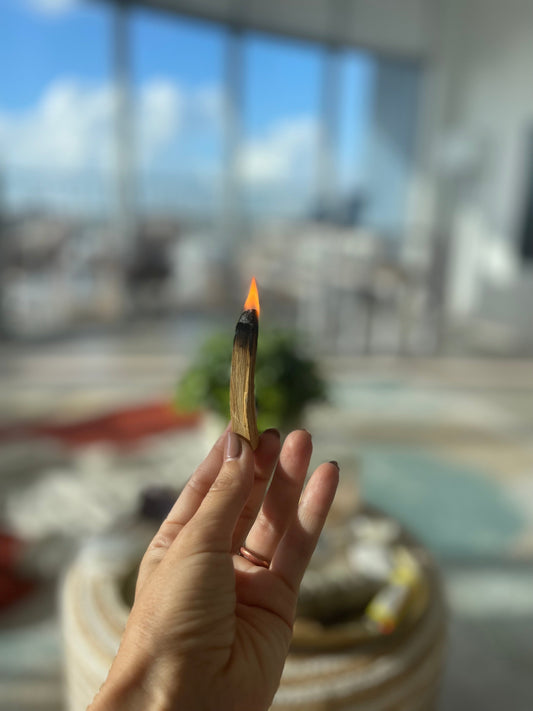 Cleansing Ceremony with Sage & Palo Santo